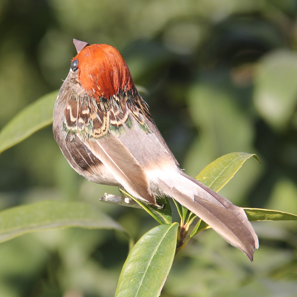 2 個ホットフェザー鳥模造スズメの羽鳥泡グレー模造人工鳥プロ - Christmas Tree Artificial のレビューと価格